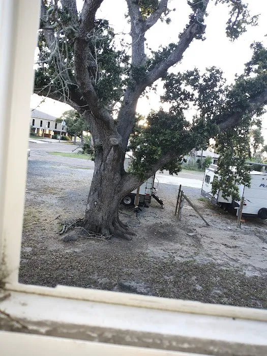 Cameron RV Under the Oaks Picture 6