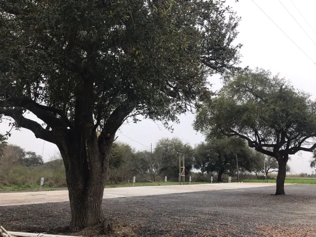 Cameron Rental & Supply RV Park Picture 2