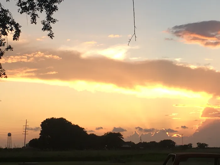 Ms. Dale’s RV Park Picture 9