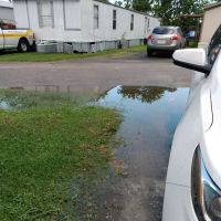 Pearland Heights ico