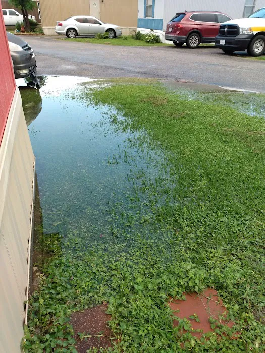 Pearland Heights Picture 3