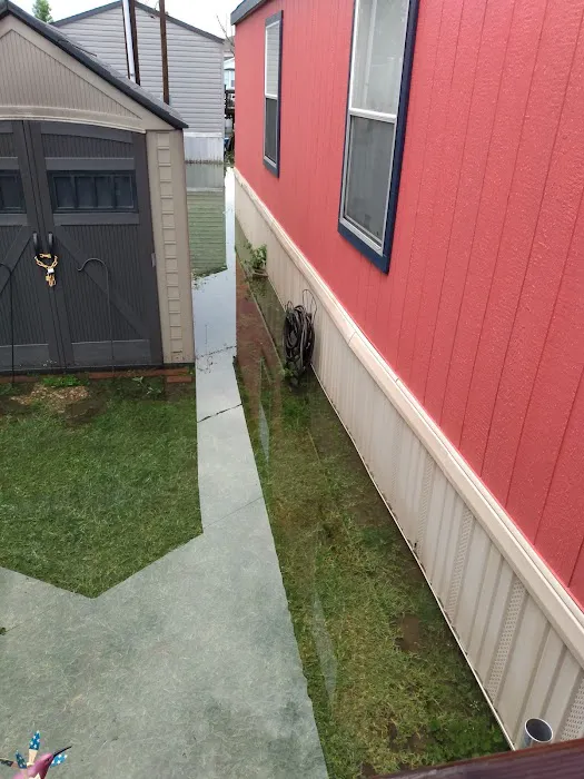 Pearland Heights Picture 2