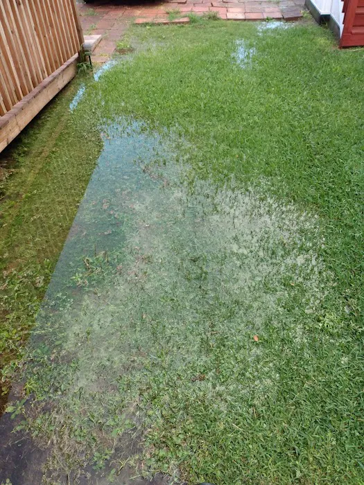 Pearland Heights Picture 5