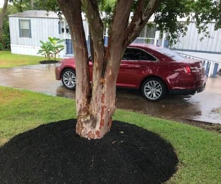 Allen Genoa Manufactured Housing Community