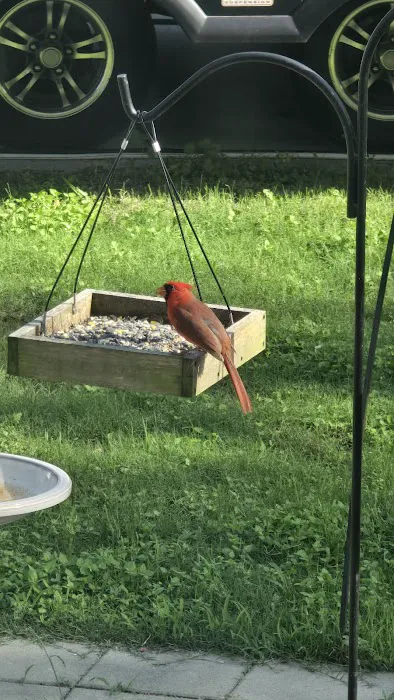 Oakhollow RV Park Picture 1