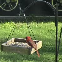 Oakhollow RV Park ico