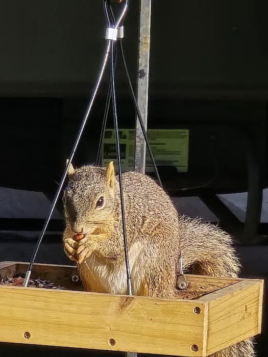 Oakhollow RV Park Picture 4