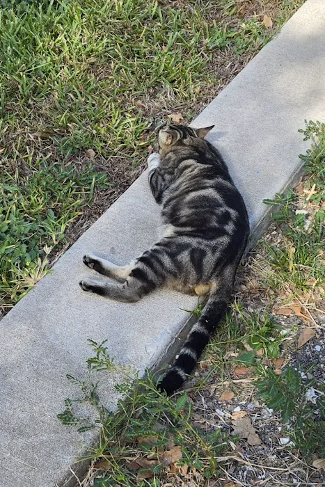 Oakhollow RV Park Picture 5