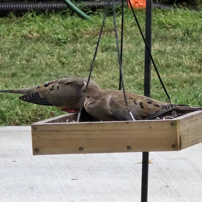 Oakhollow RV Park Picture 6