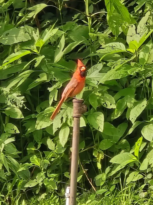 Oakhollow RV Park Picture 10