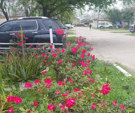 California Park & Storage