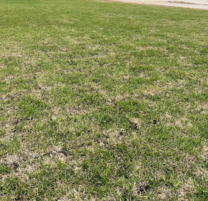 Magnolia Pine Meadows RV park Picture 4