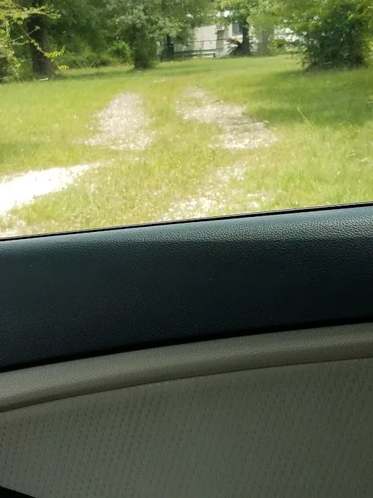 Magnolia Pines RV Park Picture 2