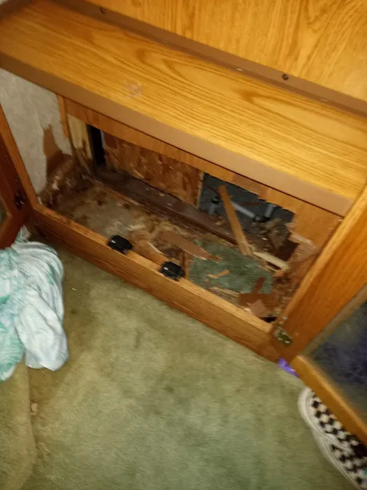 Magnolia Pines RV Park Picture 6