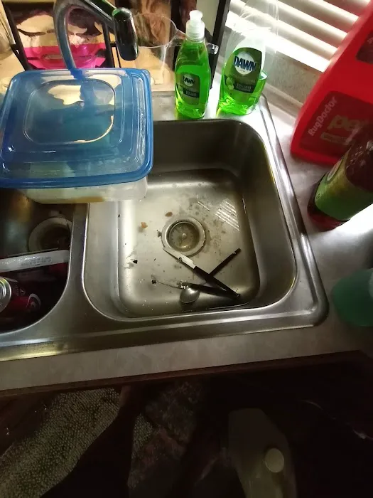 Magnolia Pines RV Park Picture 7