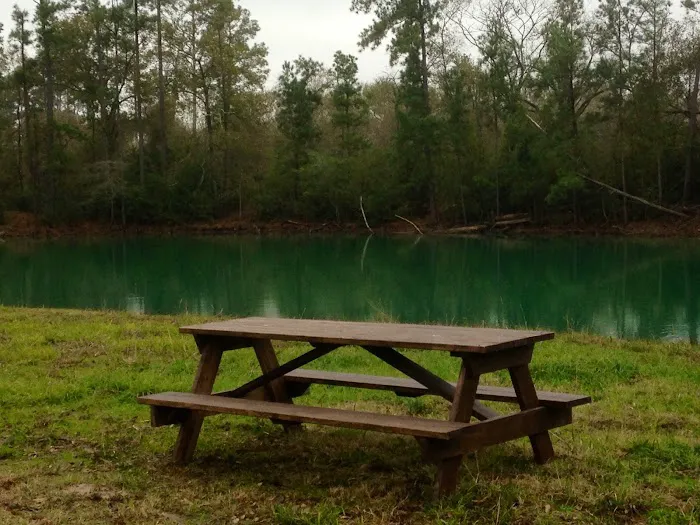 Magnolia Forest Picture 1