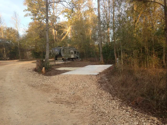 Magnolia Forest Picture 2