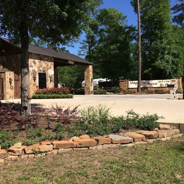 Magnolia Forest Picture 3