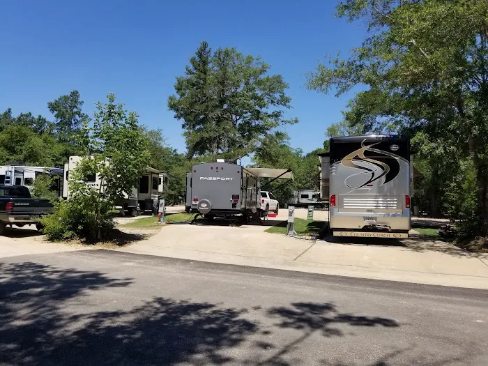 Magnolia Forest Picture 10