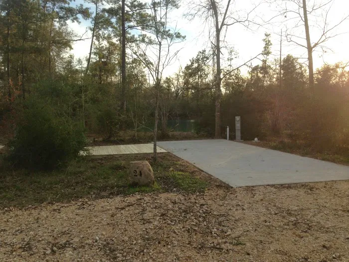 Magnolia Forest Picture 9