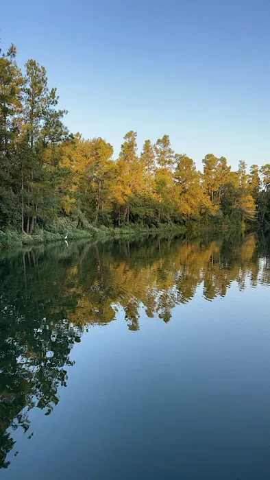 Magnolia Forest Picture 8