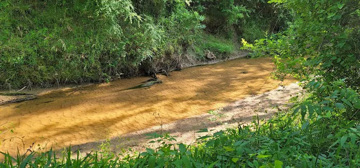 Royal Palms RV Resort Picture 9