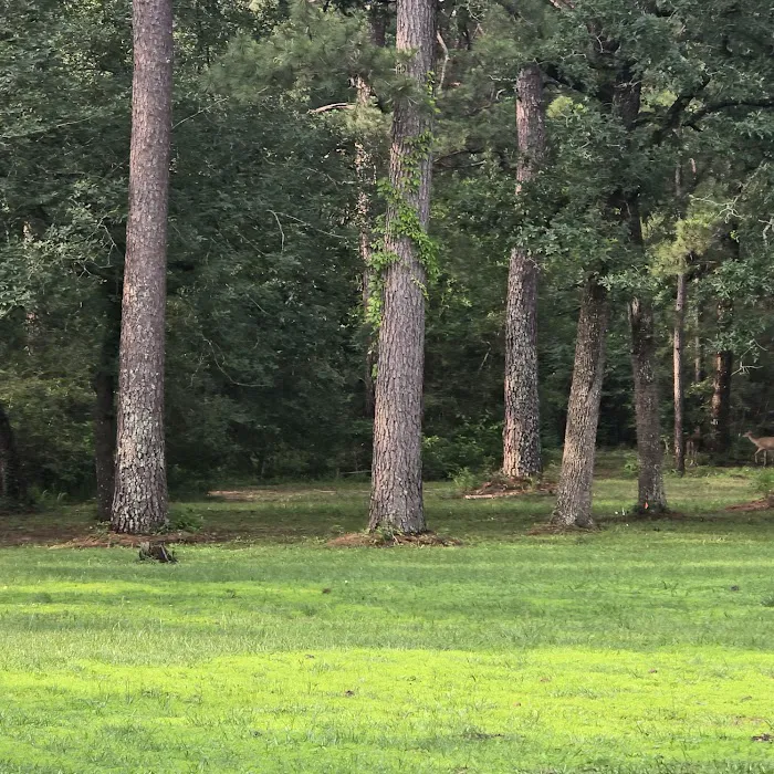 Pinewood Trails RV Park Picture 3