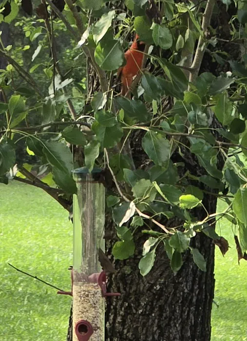 Pinewood Trails RV Park Picture 5