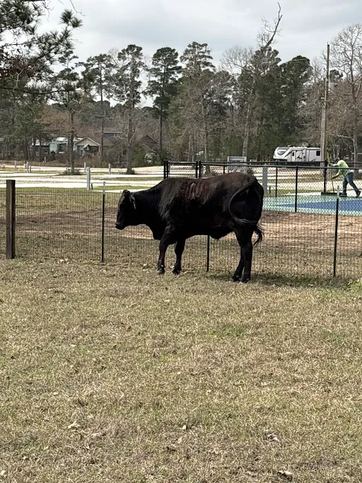 Indigo Hills RV Park Picture 4