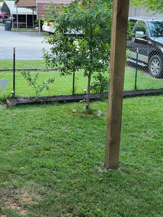 North Pines Picture 5