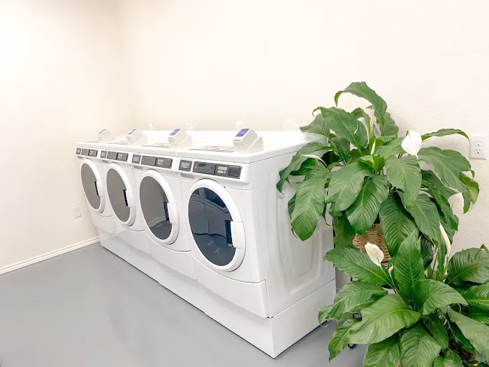 Hopkins RV Park Picture 6