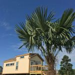 La Bohemia Villas Tiny House Community