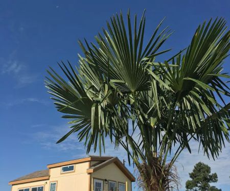 La Bohemia Villas Tiny House Community