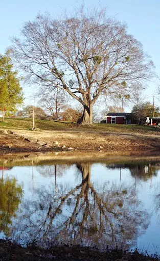 Shady Lake RV Park Picture 3