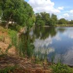 Hillcrest Village Mobile Home