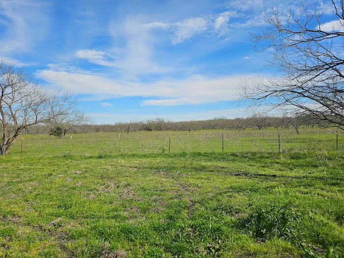 Royse City Rv Park Picture 6