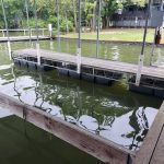 Rabbit Cove Landing Rv/Marina