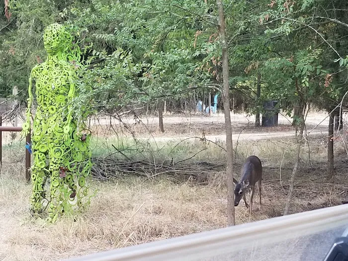 Shoreline RV Park & Marina Picture 9