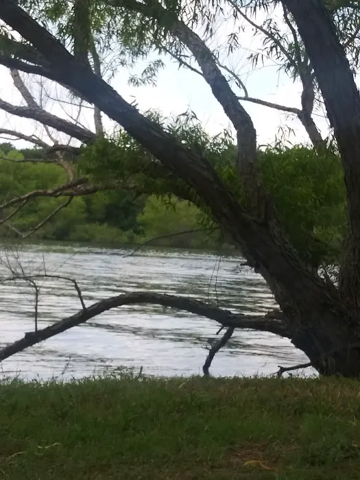 Anchor Inn Marina & Resort Picture 6