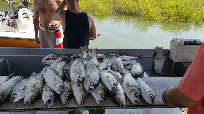 Anchor Inn Marina & Resort Picture 9