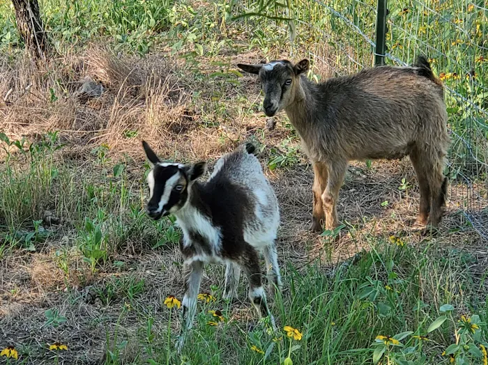 BATL Ranch RV Resort LLC Picture 10