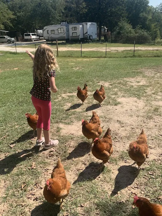 3 Cedar Crossing Campground & RV Park Picture 6