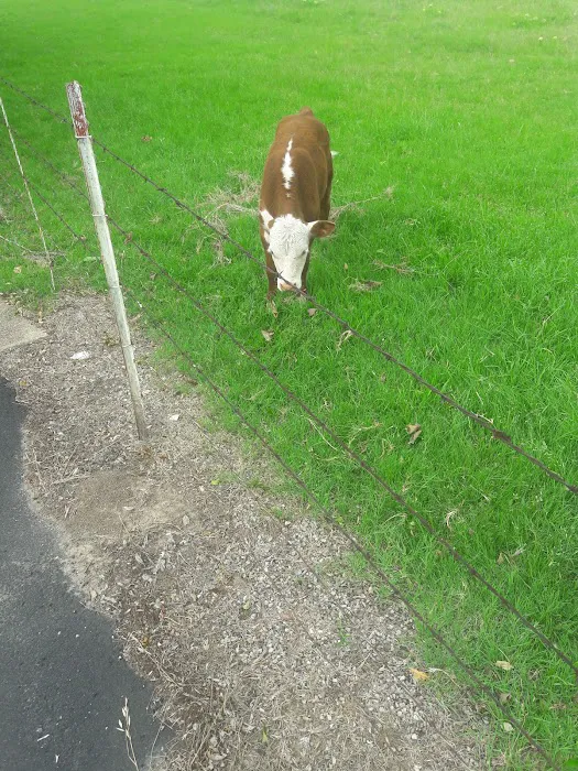 Parkerville East Mobile Home Park Picture 1