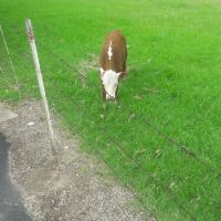 Parkerville East Mobile Home Park ico