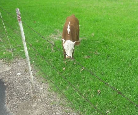 Parkerville East Mobile Home Park