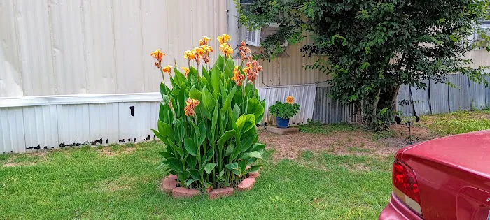 Texas Shade Mobile home Park Picture 9