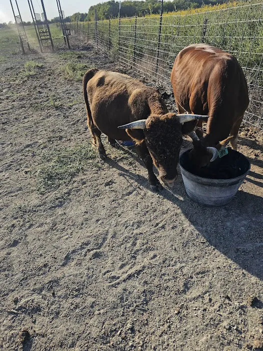 Tony's Farm Picture 7