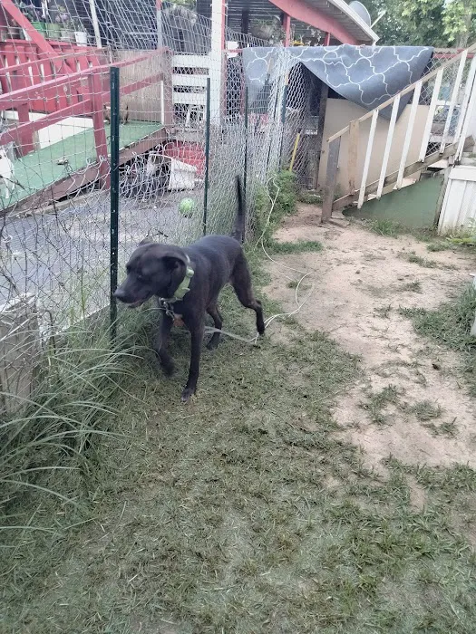 Pecan Lake Mobile Home Park Picture 3