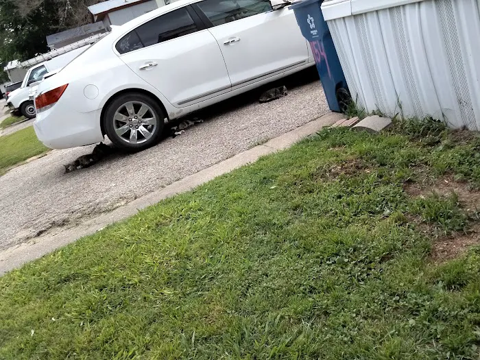 Pecan Lake Mobile Home Park Picture 8