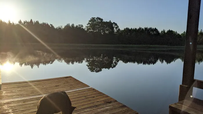 Hawks Nest Senior RV Park Picture 9